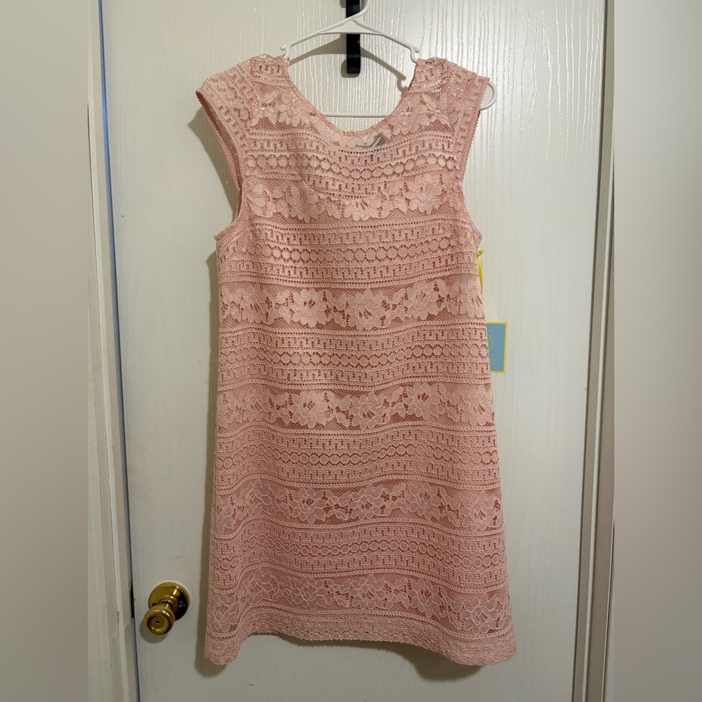 CeCe Lace Overlay Dress in Blush Pink